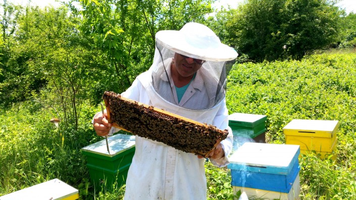 Stupina Crainiceanu Stupina Crainiceanu